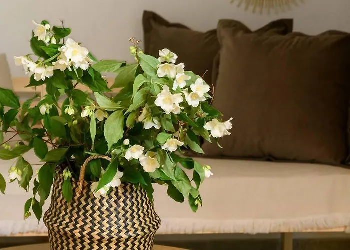 Toutounis House Kazaviti Semesterbostad Mikros Prinos